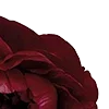 🥀 Эмодзи «Red Flowers» для Telegram