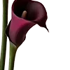 🥀 Эмодзи «Red Flowers» для Telegram