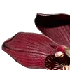 🥀 Эмодзи «Red Flowers» для Telegram