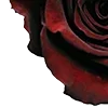 🥀 Эмодзи «Red Flowers» для Telegram