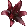 🥀 Эмодзи «Red Flowers» для Telegram
