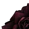 🥀 Эмодзи «Red Flowers» для Telegram