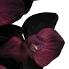🥀 Эмодзи «Red Flowers» для Telegram