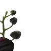 🥀 Эмодзи «Red Flowers» для Telegram