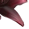🥀 Эмодзи «Red Flowers» для Telegram