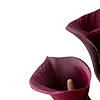 🥀 Эмодзи «Red Flowers» для Telegram