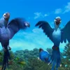 🦜 Эмодзи «Rio» для Telegram