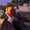 🦜 Эмодзи «Rio» для Telegram