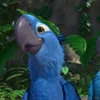 🦜 Эмодзи «Rio» для Telegram