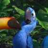 🦜 Эмодзи «Rio» для Telegram