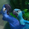 🦜 Эмодзи «Rio» для Telegram