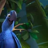 🦜 Эмодзи «Rio» для Telegram