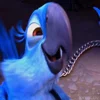 🦜 Эмодзи «Rio» для Telegram