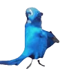 🦜 Эмодзи «Rio» для Telegram
