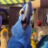 🦜 Эмодзи «Rio» для Telegram