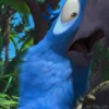 🦜 Эмодзи «Rio» для Telegram