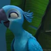 🦜 Эмодзи «Rio» для Telegram