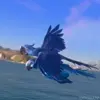 🦜 Эмодзи «Rio» для Telegram