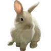 🐇 Эмодзи «Пасха #XB #other» для Telegram
