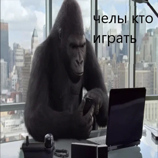 🦍 Стикер «M1zex Stickers Rofls» для Telegram