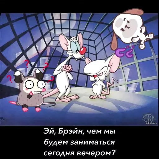 🤔 Стикер «Room 51» для Telegram