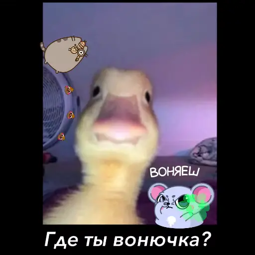 🤩 Стикер «Room 51» для Telegram