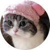 🤩 Эмодзи «Кругляши Комару Кот» для Telegram