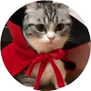 🤩 Эмодзи «Кругляши Комару Кот» для Telegram