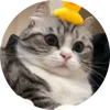 🤩 Эмодзи «Кругляши Комару Кот» для Telegram
