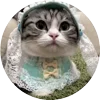 🤩 Эмодзи «Кругляши Комару Кот» для Telegram