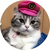 🤩 Эмодзи «Кругляши Комару Кот» для Telegram