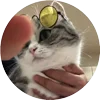 🤩 Эмодзи «Кругляши Комару Кот» для Telegram
