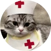 🤩 Эмодзи «Кругляши Комару Кот» для Telegram