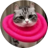 🤩 Эмодзи «Кругляши Комару Кот» для Telegram