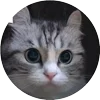 🤩 Эмодзи «Кругляши Комару Кот» для Telegram
