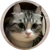 🤩 Эмодзи «Кругляши Комару Кот» для Telegram