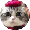 🤩 Эмодзи «Кругляши Комару Кот» для Telegram