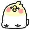 Стикерпак Rounded Colorful Bird для Telegram