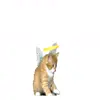 🐈 Эмодзи «Routine» для Telegram