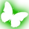🦋 Эмодзи «Minimalism #font #color #green» для Telegram
