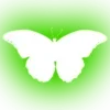 🦋 Эмодзи «Minimalism #font #color #green» для Telegram