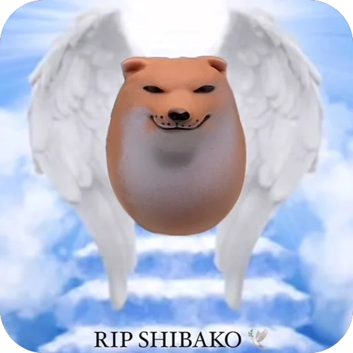 🫥 Стикер «SHIBAKOOO» для Telegram