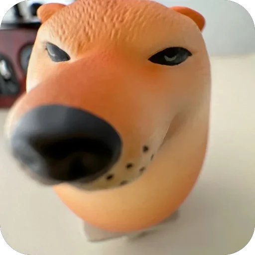 🫥 Стикер «SHIBAKOOO» для Telegram