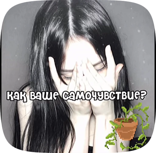 🪼 Стикер «Пожелания» для Telegram