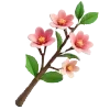 🌷 Эмодзи «Садовод» для Telegram