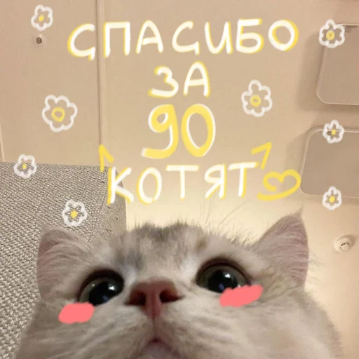 🐱 Стикер «My kittens» для Telegram