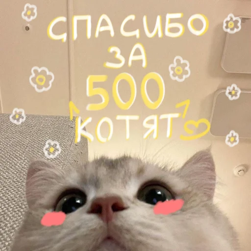 🐱 Стикер «My kittens» для Telegram