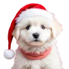 🐶 Эмодзи «Новогодние красные буквы» для Telegram