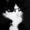 😐 Эмодзи «Сарка Тгк» для Telegram