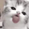👅 Эмодзи «Сарка Тгк» для Telegram
